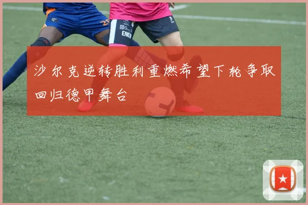 沙尔克逆转胜利重燃希望下轮争取回归德甲舞台